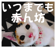856781391
