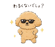 856782297