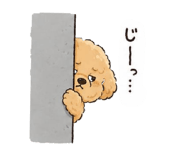 856782302