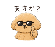 856782306