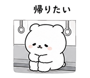 856782603