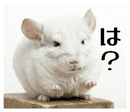 856783395