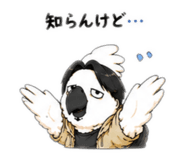 856783748