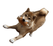 856784283