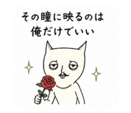 856784555