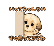 856784658
