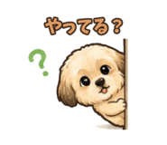856784666