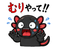 856786317