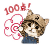 856787234