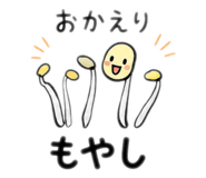 856787743