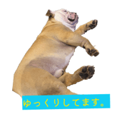 856787982