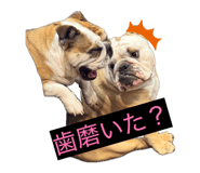 856787989