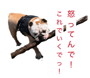 856787997