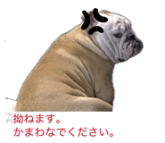 856787999