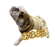 856788004