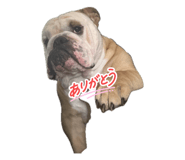 856788013