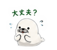 856788242