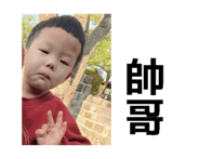 856788516
