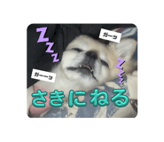 856790027