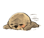 856791664