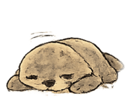 856791671