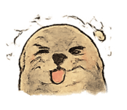 856791678