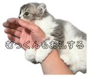856791962