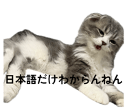 856791976