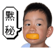 856792241