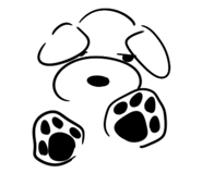 856792321