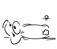 856792327