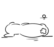 856792328