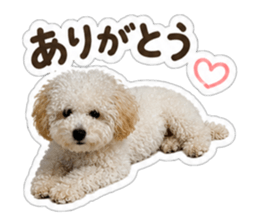 856792944