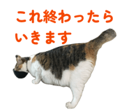 856793532
