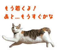856793533