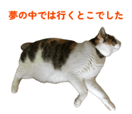 856793535