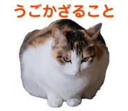 856793536