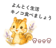 856793956