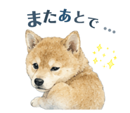 856794511