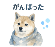 856794523