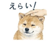 856794524