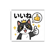 856794561