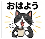 856794565