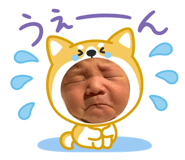 856794675