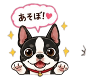 856795020