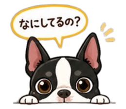 856795026