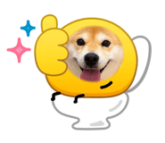 856795145