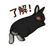 856795161