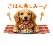856795298