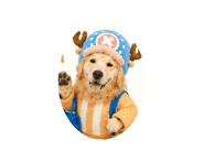 856795352